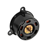 Ventilador de motor (41)